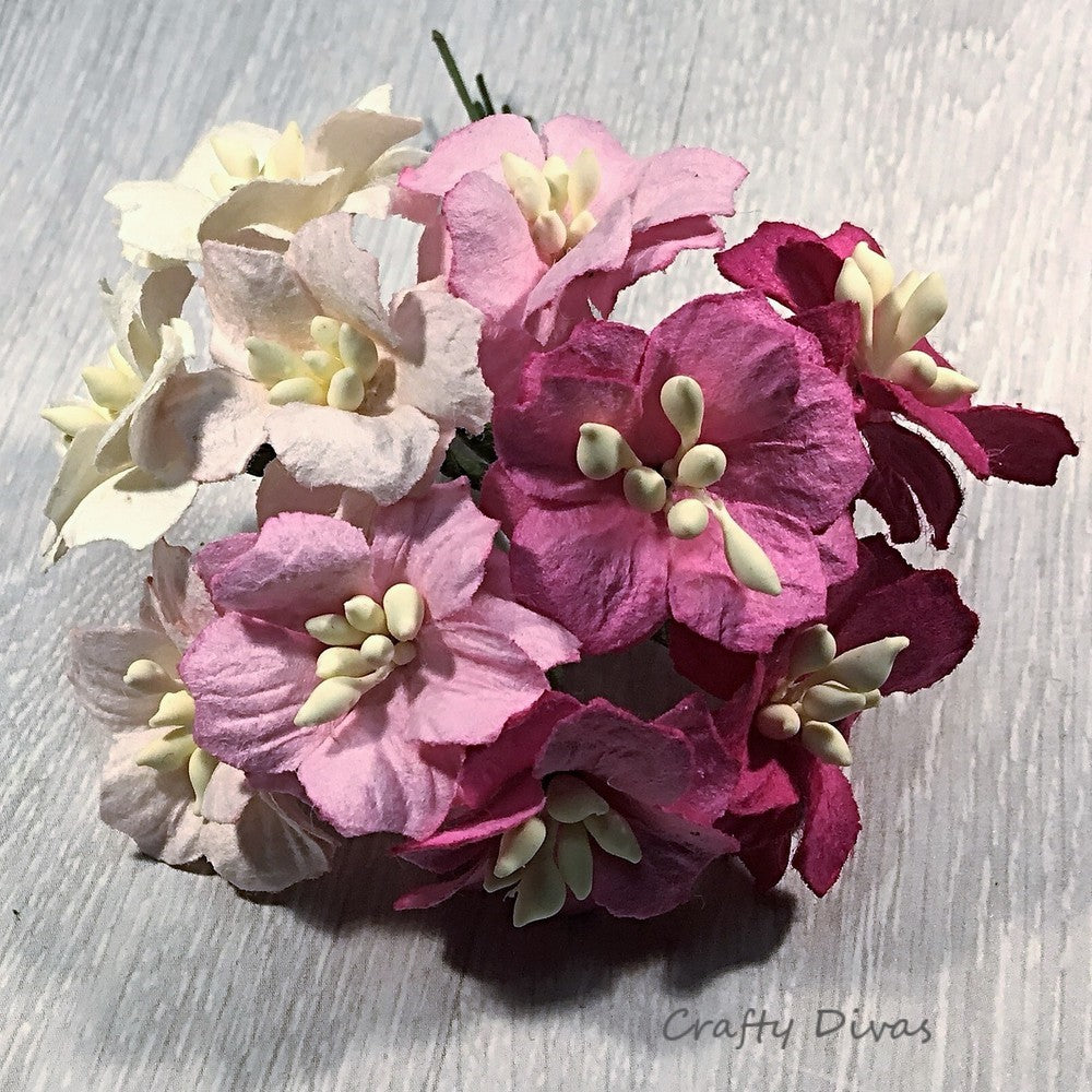 Mulberry Apple Blossoms - Pinks