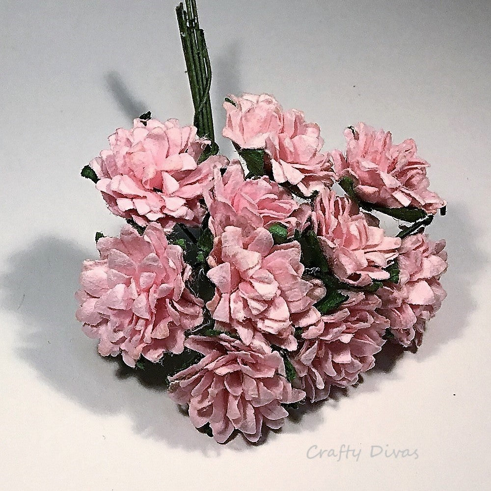 Mulberry Aster Daisies - Baby Pink