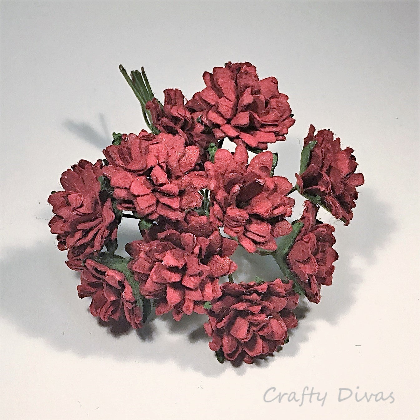 Mulberry Aster Daisies - Burgundy