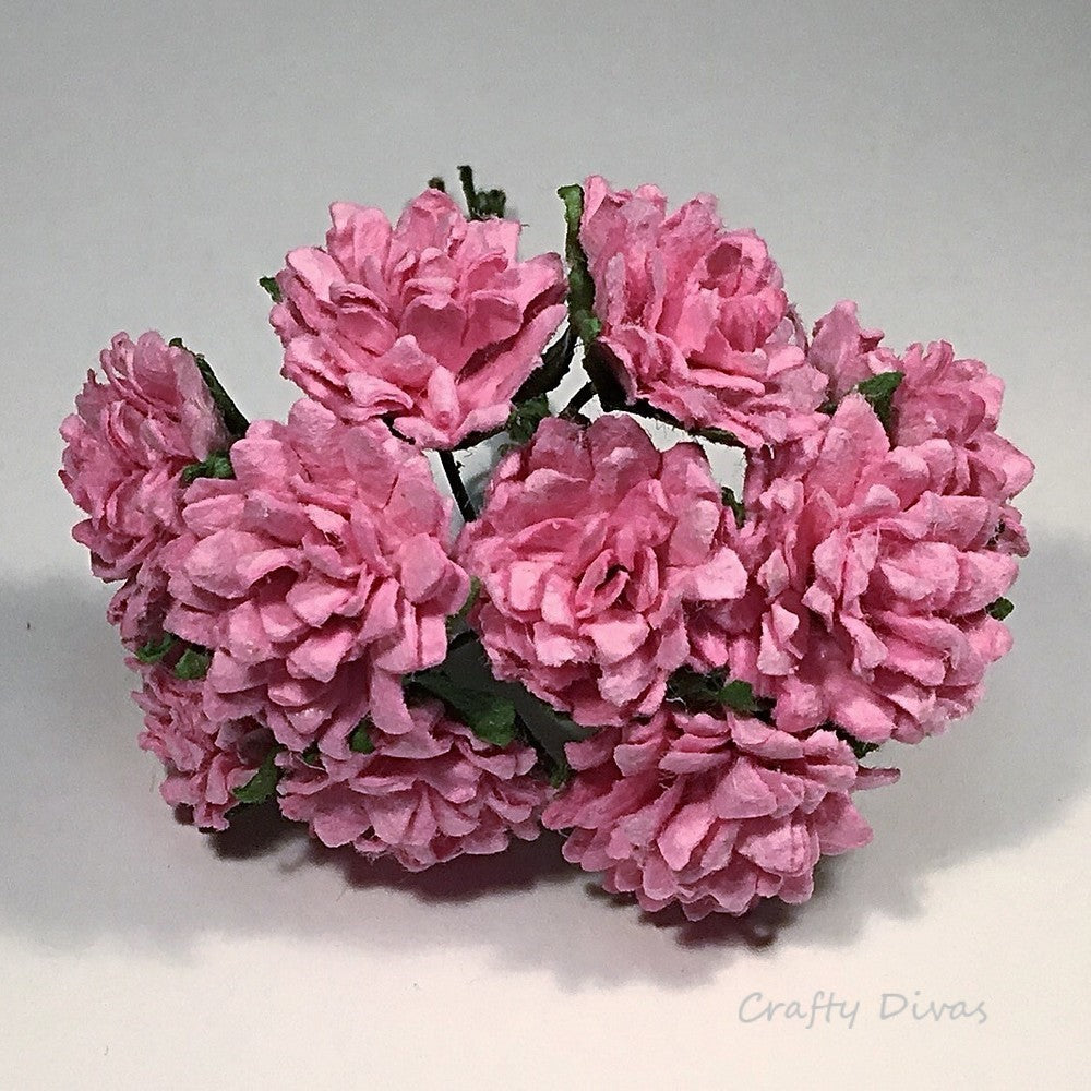 Mulberry Aster Daisies- Pink