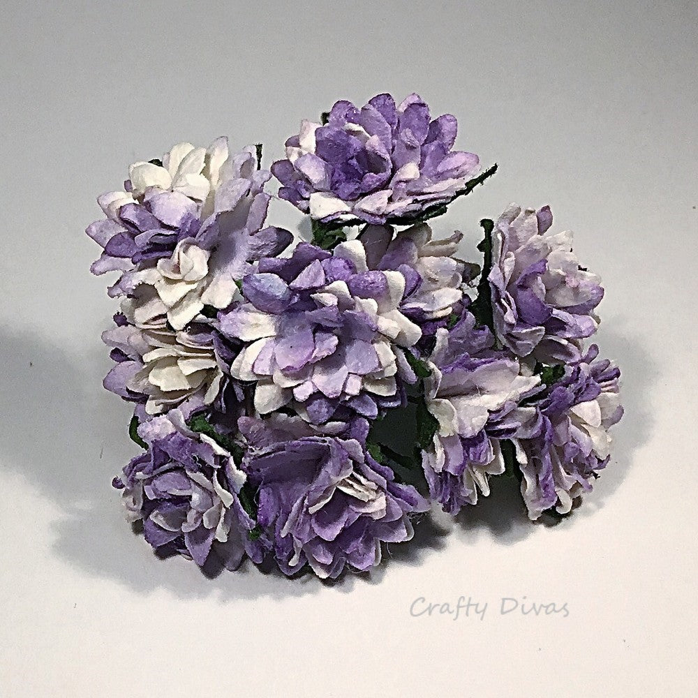 Mulberry Aster Daisies - Shaded Lilac