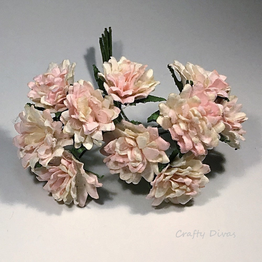 Mulberry Aster Daisies- Shaded Pink