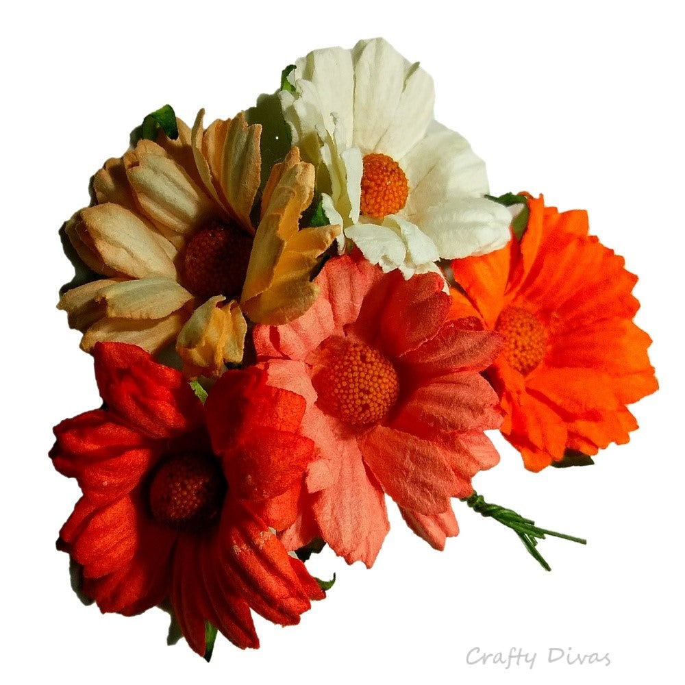 Mulberry Chrysanthemums- Shades of Peach