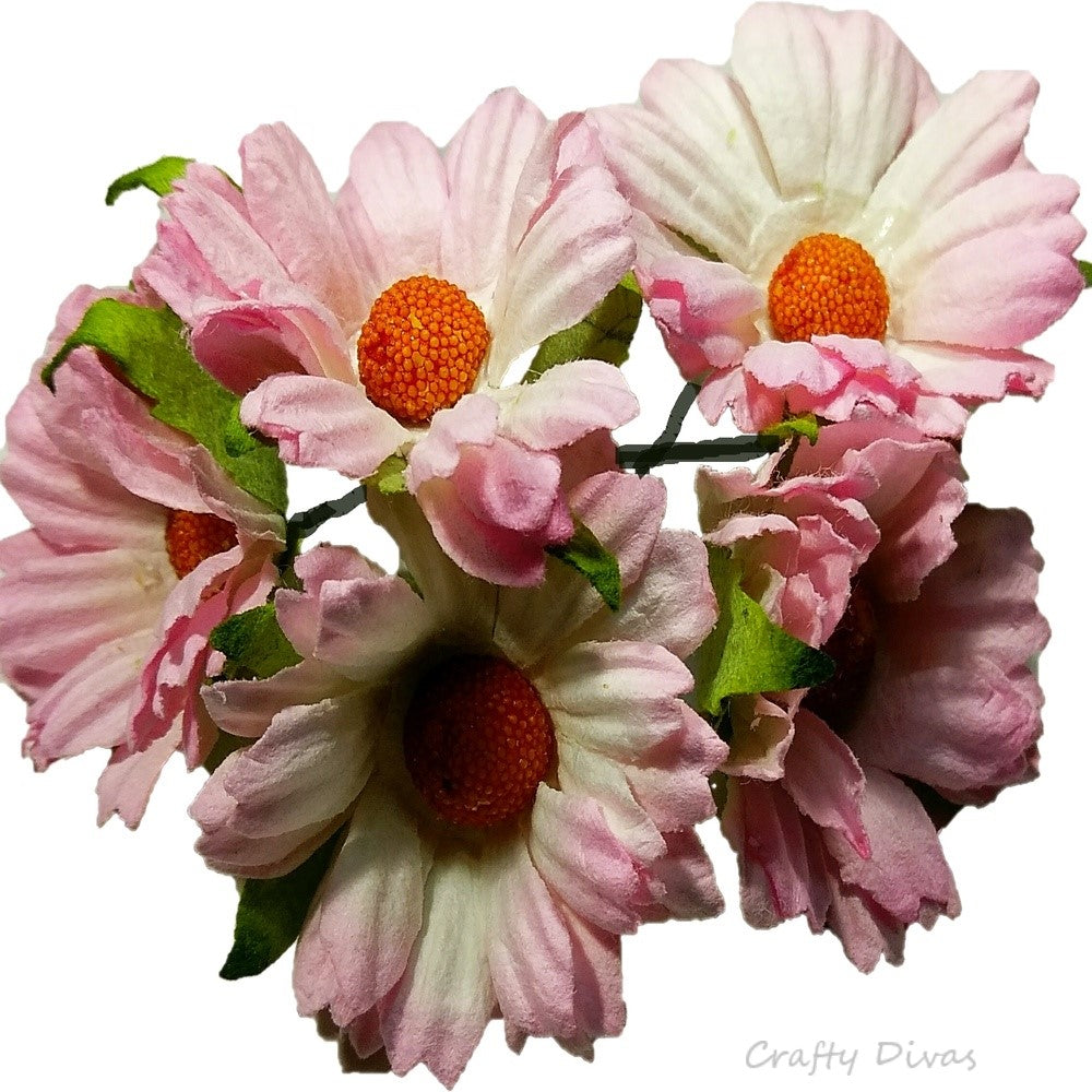 Mulberry Chrysanthemums- Shaded Pink