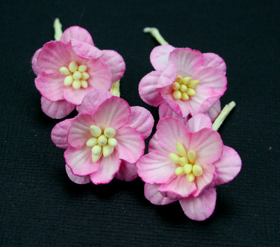 Cherry Blossoms- 2 Tone Pink