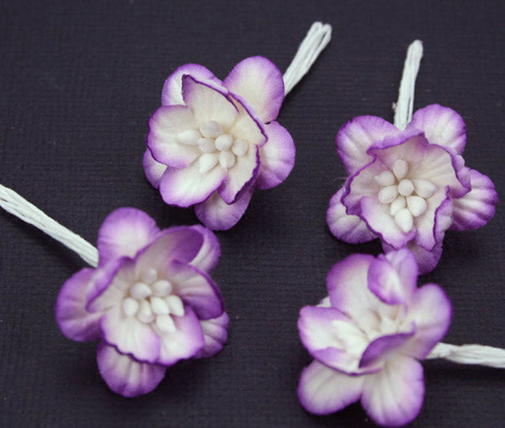 Cherry Blossoms- Violet White