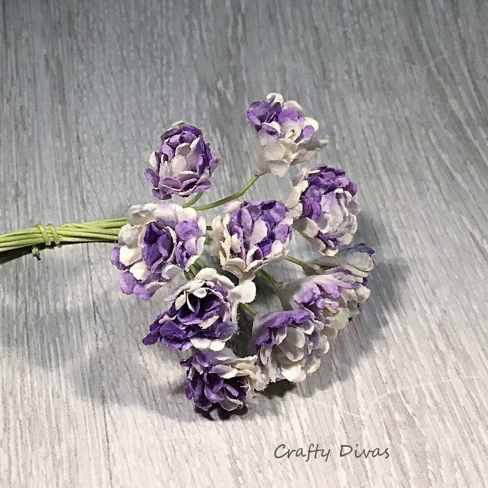 Mulberry Gypsophila Flowers - Shaded Lilac