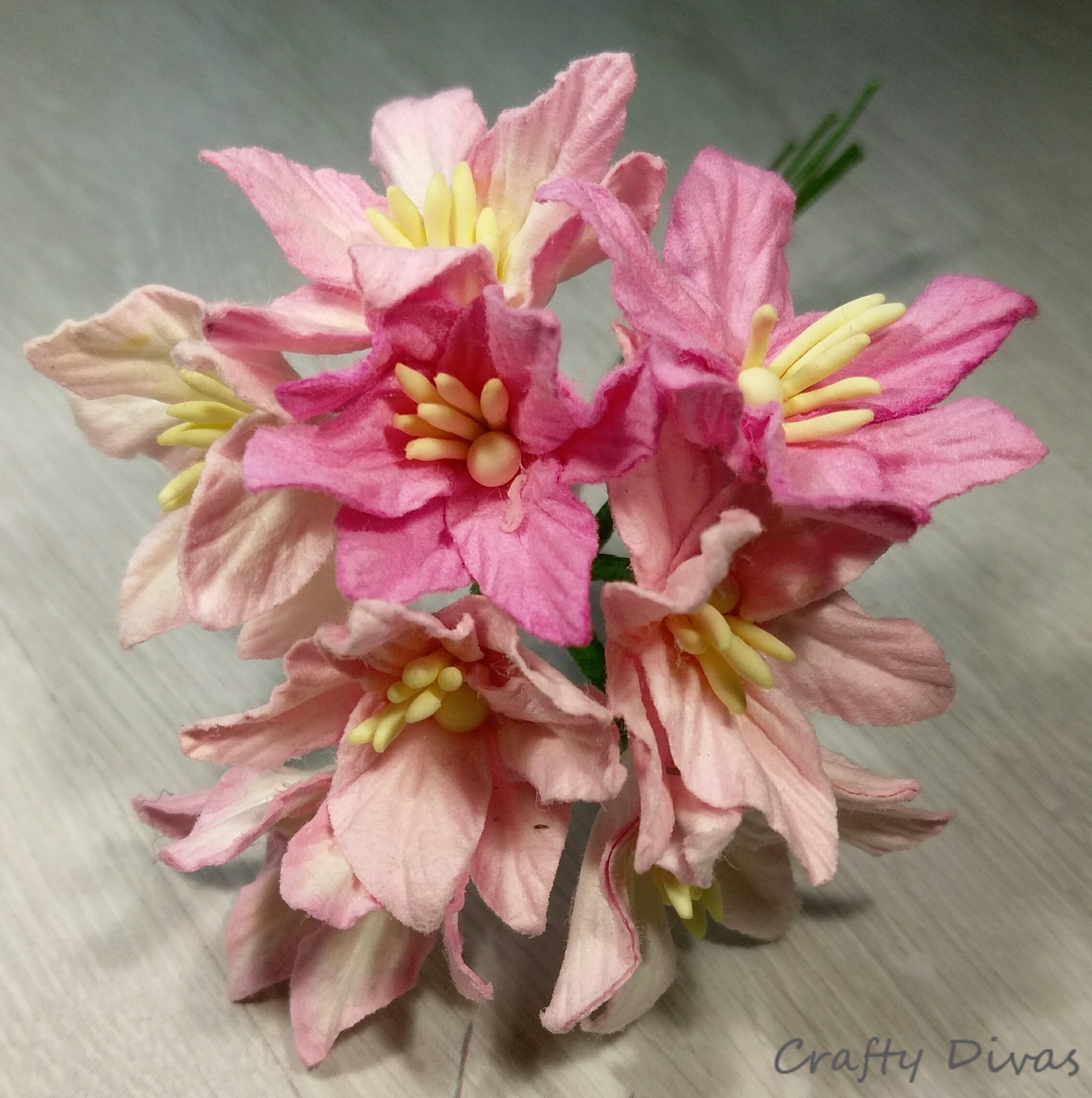 Mulberry Lily Flowers- Shades of Pink