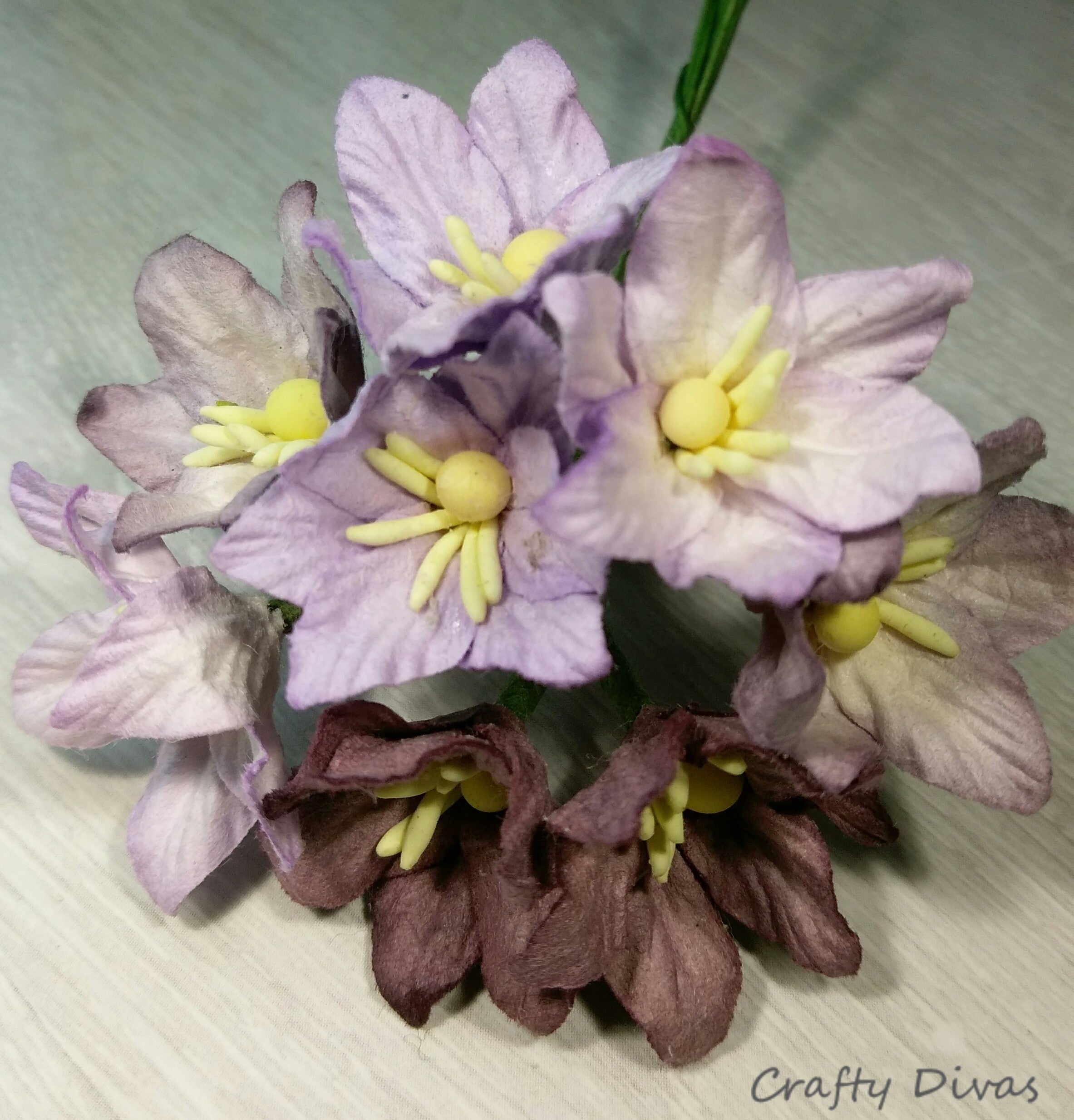 Mulberry Lily Flowers - Shades of Purple