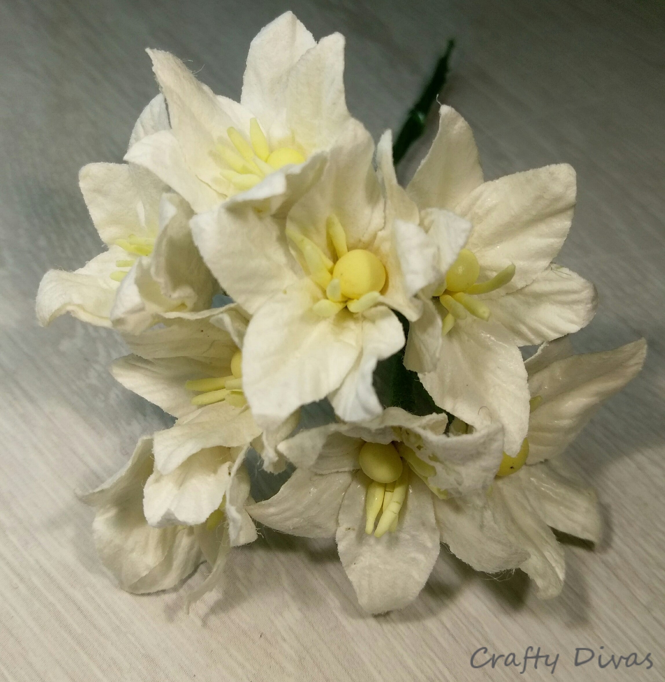 Mulberry Lily Flowers- White