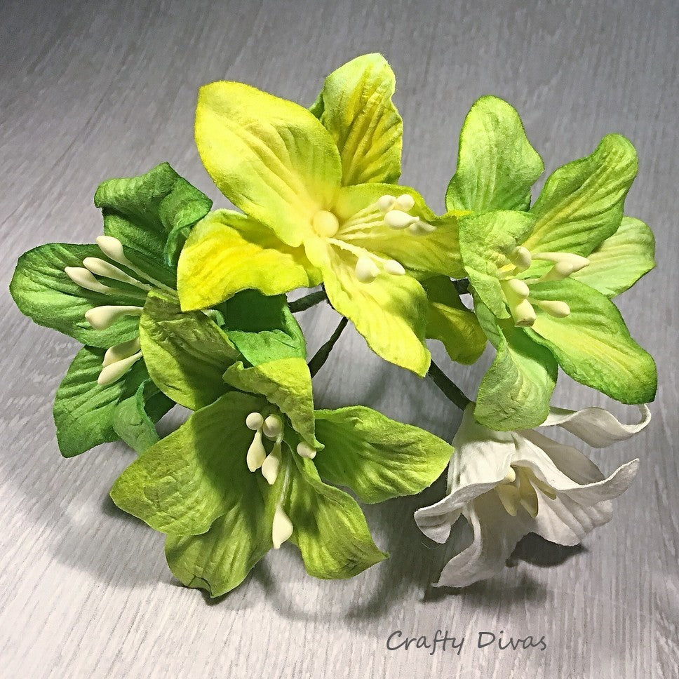 Mulberry Lily Flowers Large- Shades of Lime