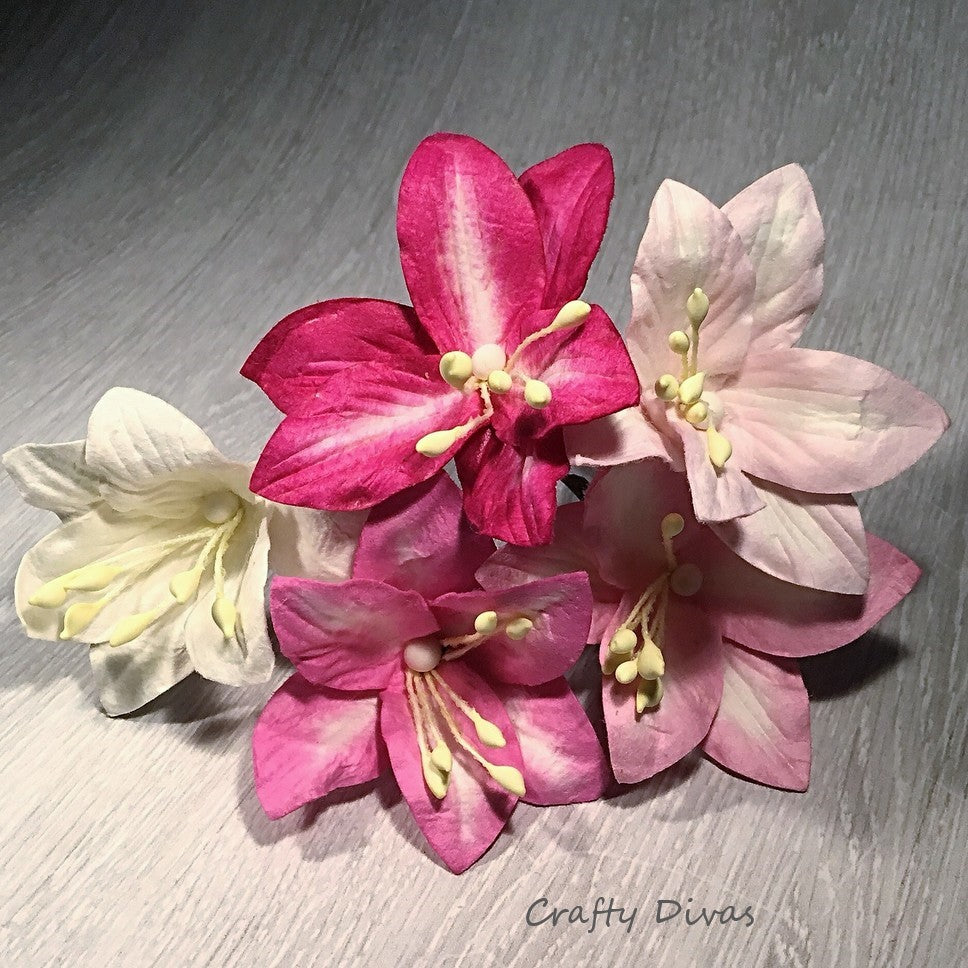 Mulberry Lily Flowers Large- Shades of Pink