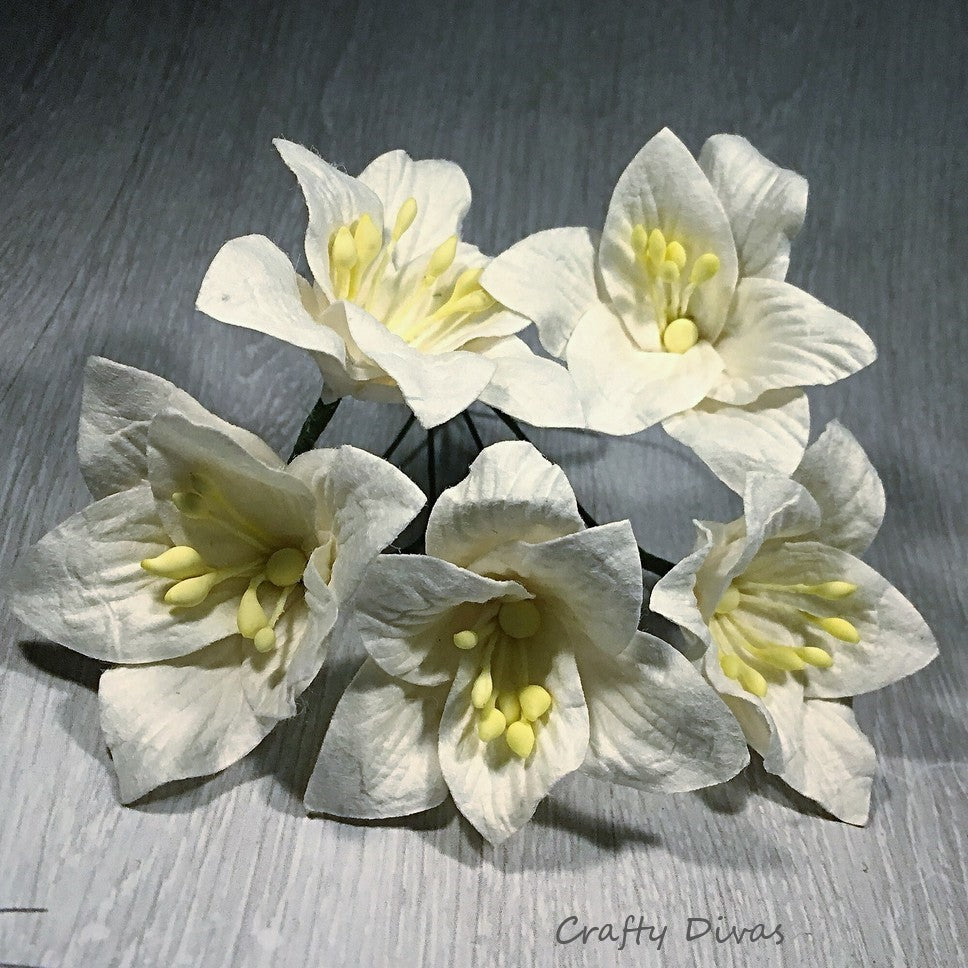 Mulberry Lily Flowers Large- White