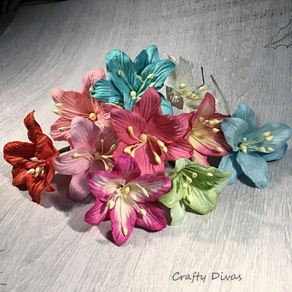 Mulberry Lily Flowers Large- Mixed Bunch