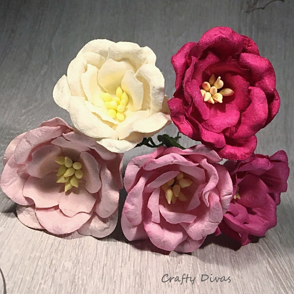 Mulberry Magnolia Flowers - Shades of Pink