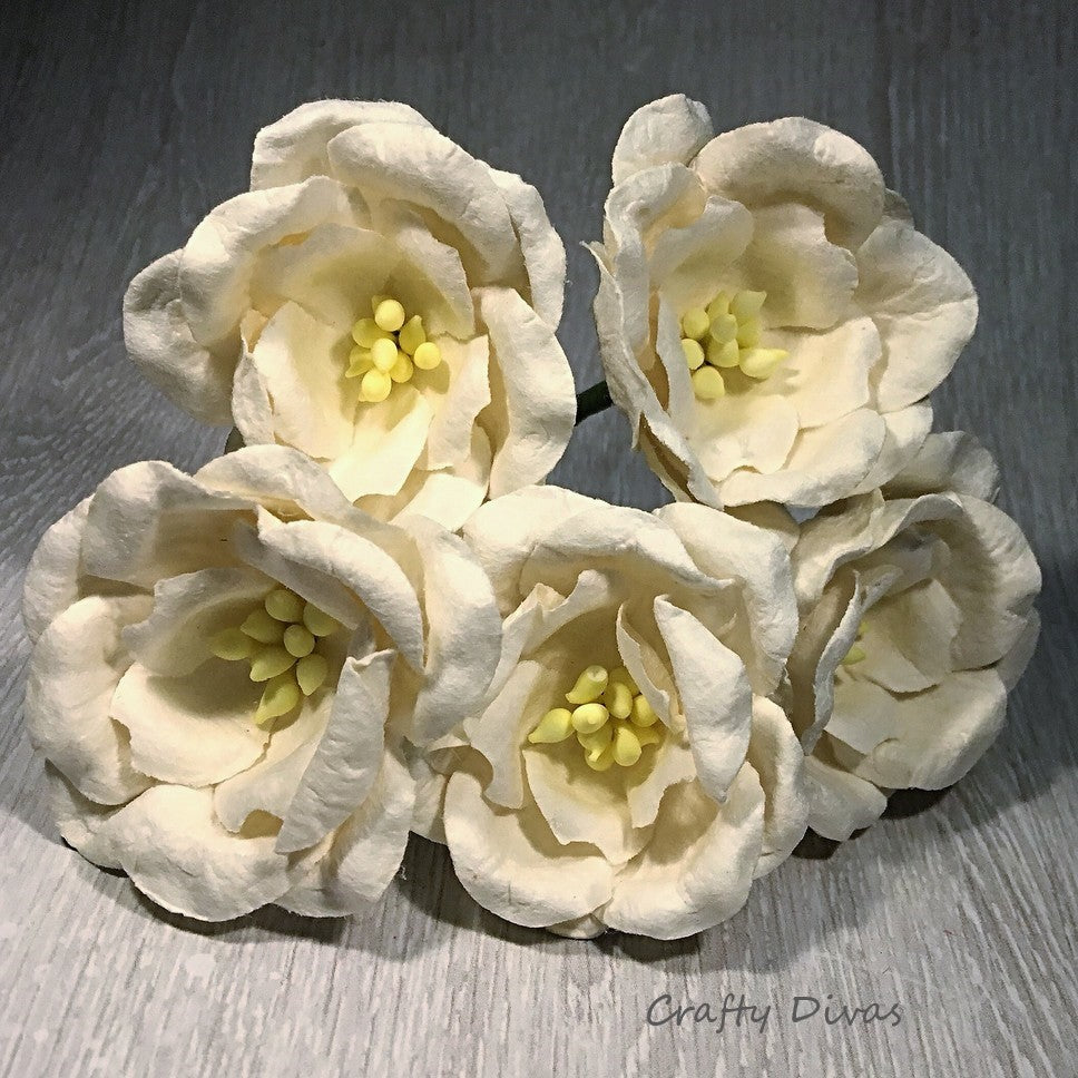 Mulberry Magnolia Flowers - White