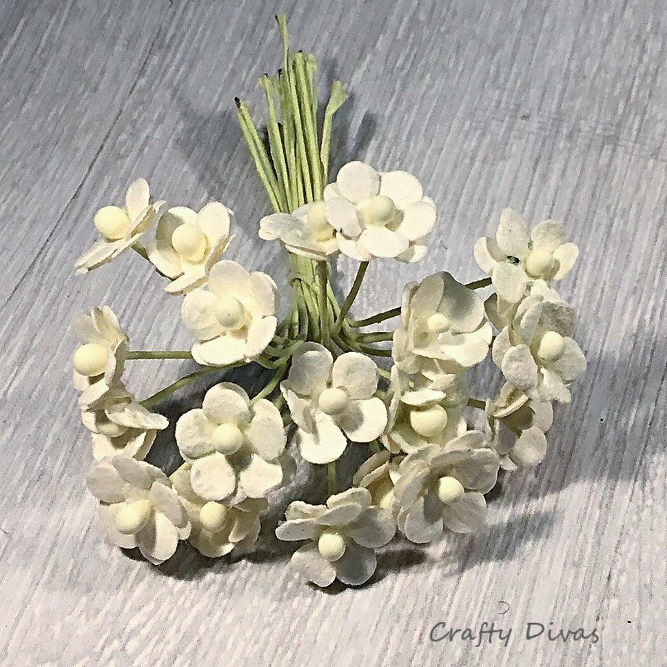 Mulberry Mini Sweetheart Blossom Flowers Ivory