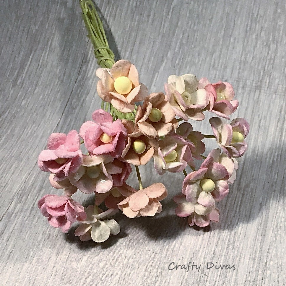 Mulberry Mini Sweetheart Blossom Flowers - Pinks