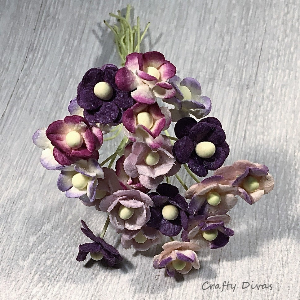 Mulberry Mini Sweetheart Blossom Flowers - Purples