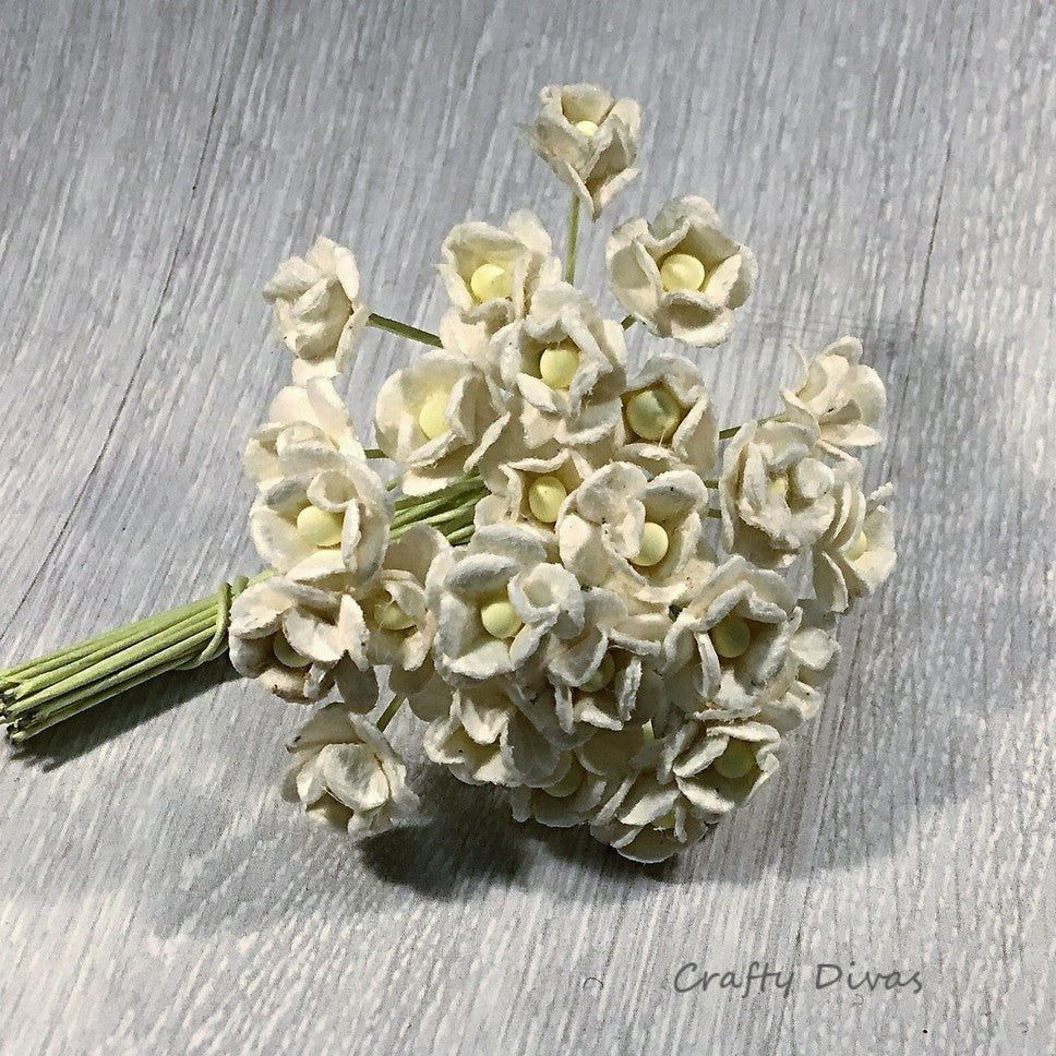 Mulberry Mini Sweetheart Blossom Flowers - White