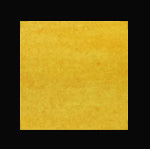 Shimmerz- Aqua Huez- POT-O-GOLD