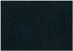 Romanesque - Ebony - A4 Shimmer Card 20pcs