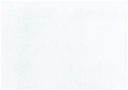 Romanesque- Pearl - A4 Shimmer Card 20pcs