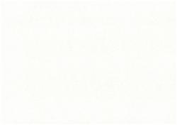 Romanesque- White Champagne- A4 Shimmer Card 20pcs