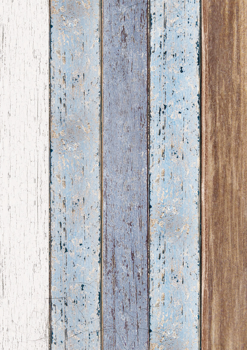 Stamperia Clear Background A4 - Garden House