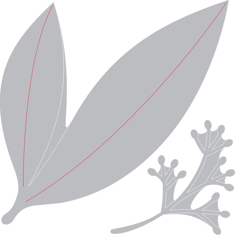 Sizzix Framelits Dies By David Tutera - Eucalyptus