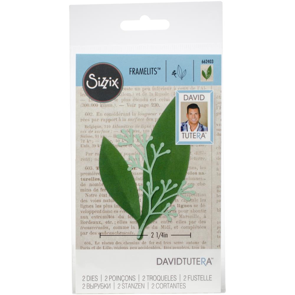 Sizzix Framelits Dies By David Tutera - Eucalyptus
