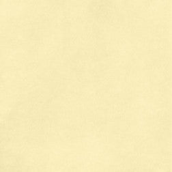 Smooth Cardstock - Vanilla
