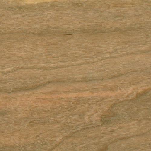 X-Press It- Sticky Barc- Cherry A4