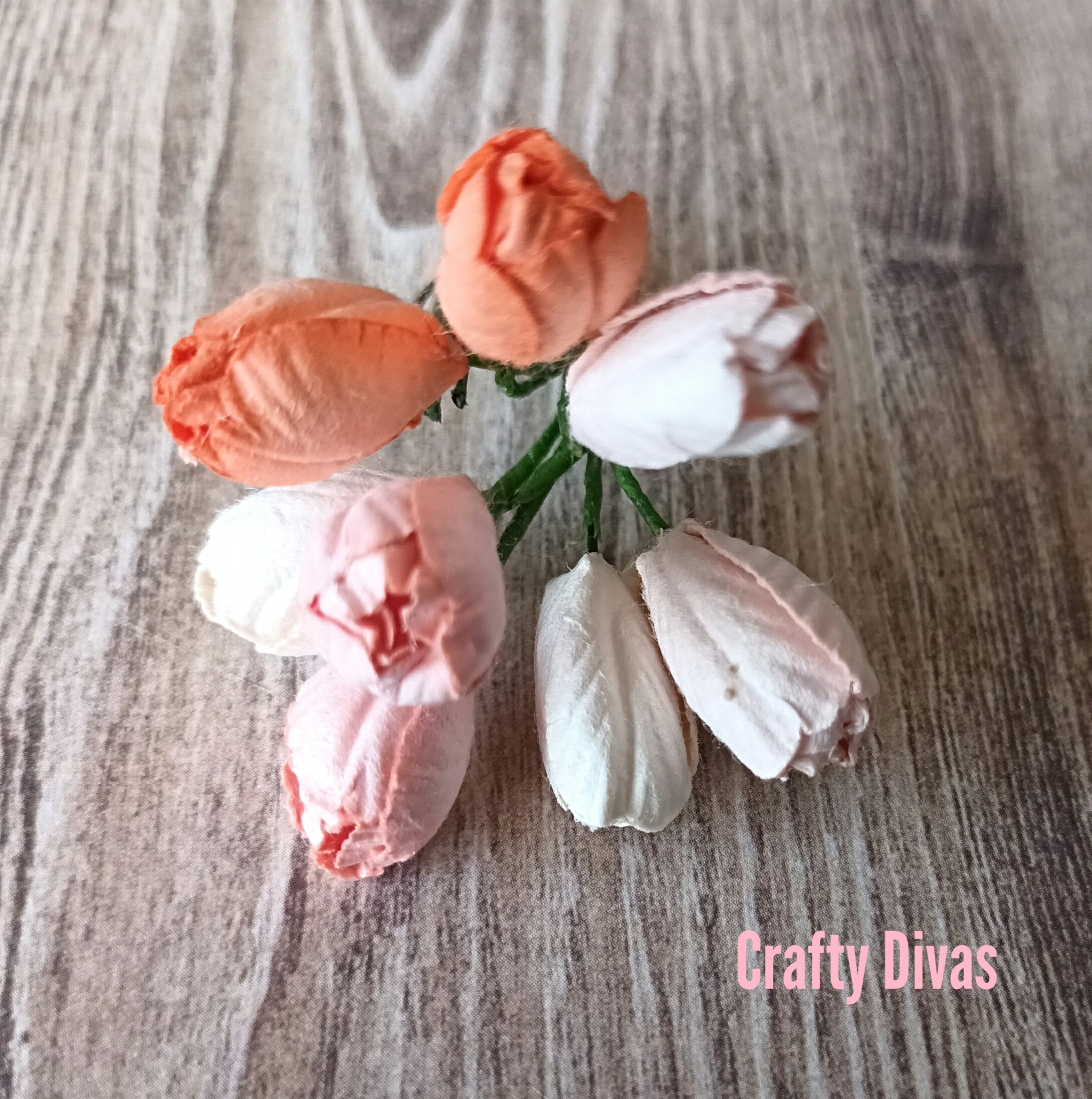 Mulberry Tulips - Shades of Peach