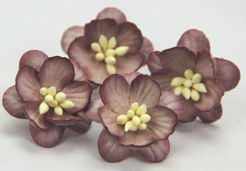 Cherry Blossoms - Brown - Crafty Divas