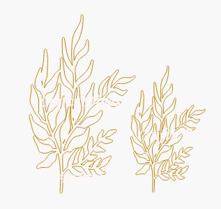 Chipboard Shapes - Seaweed - Crafty Divas