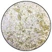 Embossing Speckle Powder - Lavender - Crafty Divas