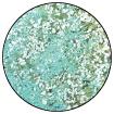 Embossing Speckle Powder - Mint Chip - Crafty Divas