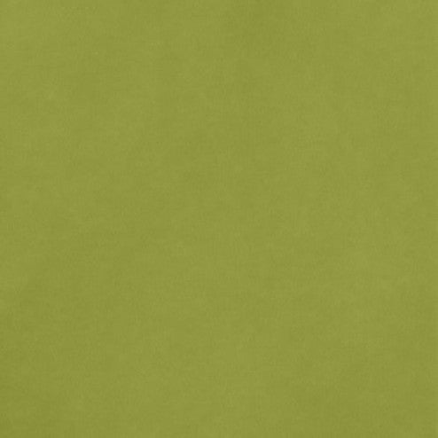 Smooth Cardstock - Leaf