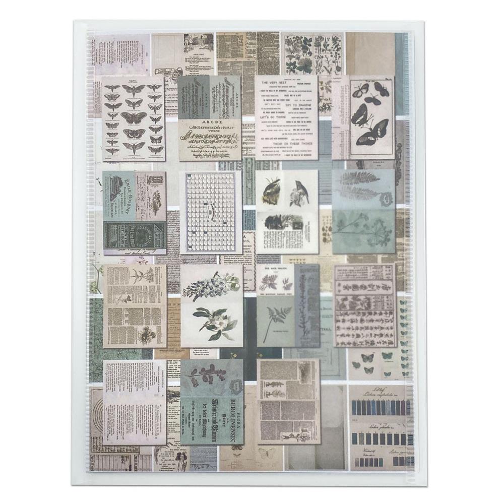 49 And Market - Collage Sheets 6X8 Color Swatch: Eucalyptus