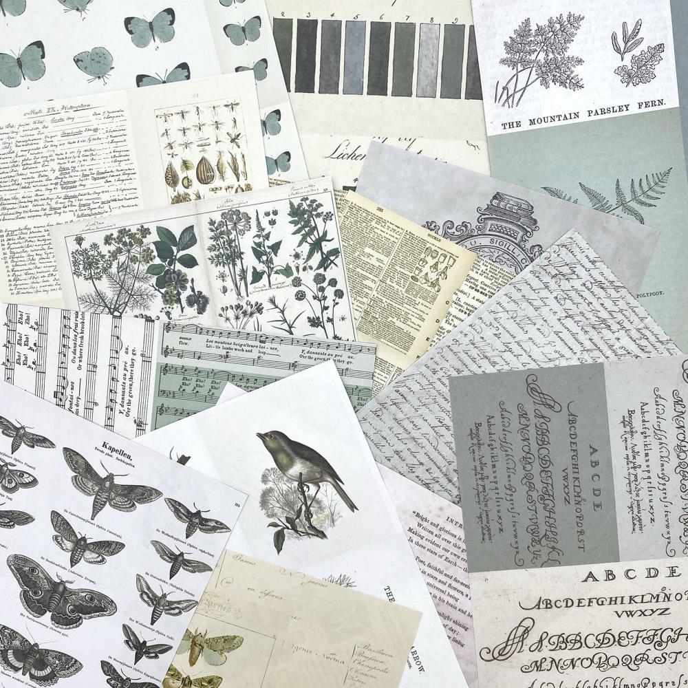 49 And Market - Collage Sheets 6X8 Color Swatch: Eucalyptus