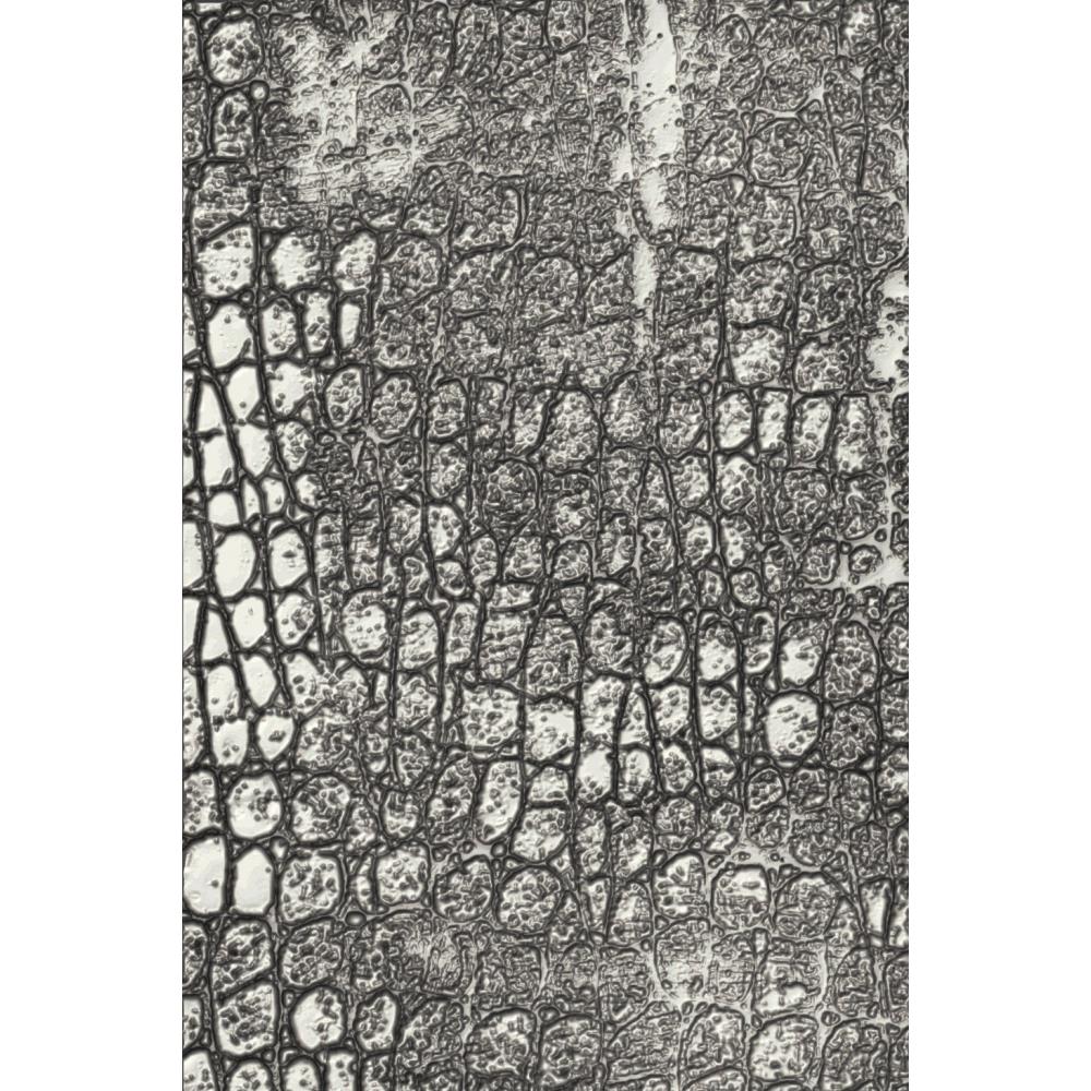 Sizzix 3D Texture Fades Embossing Folder By Tim Holtz - Reptile