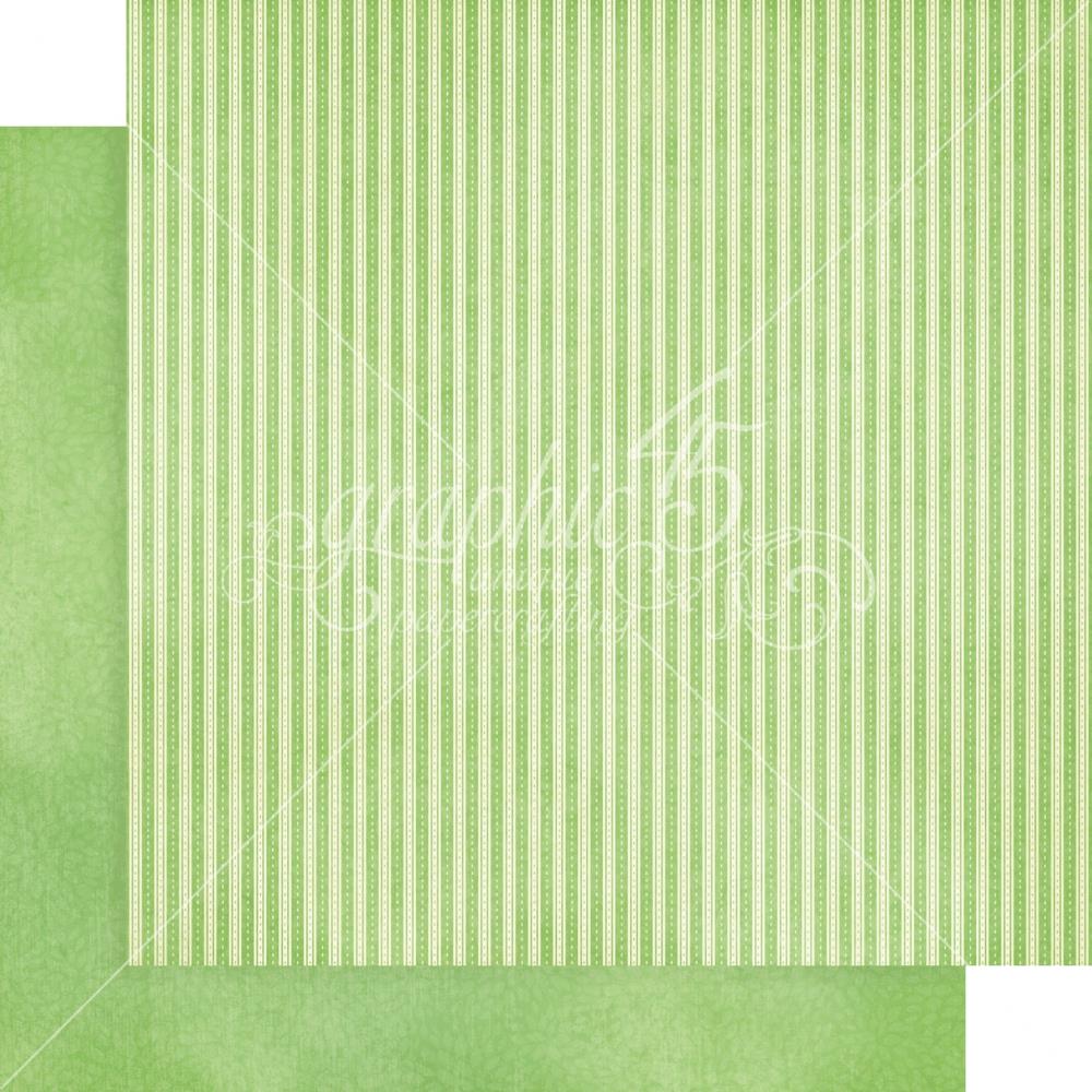 Graphic 45 - Collection Pack Patterns and Solids 12x12 - Grow With Love