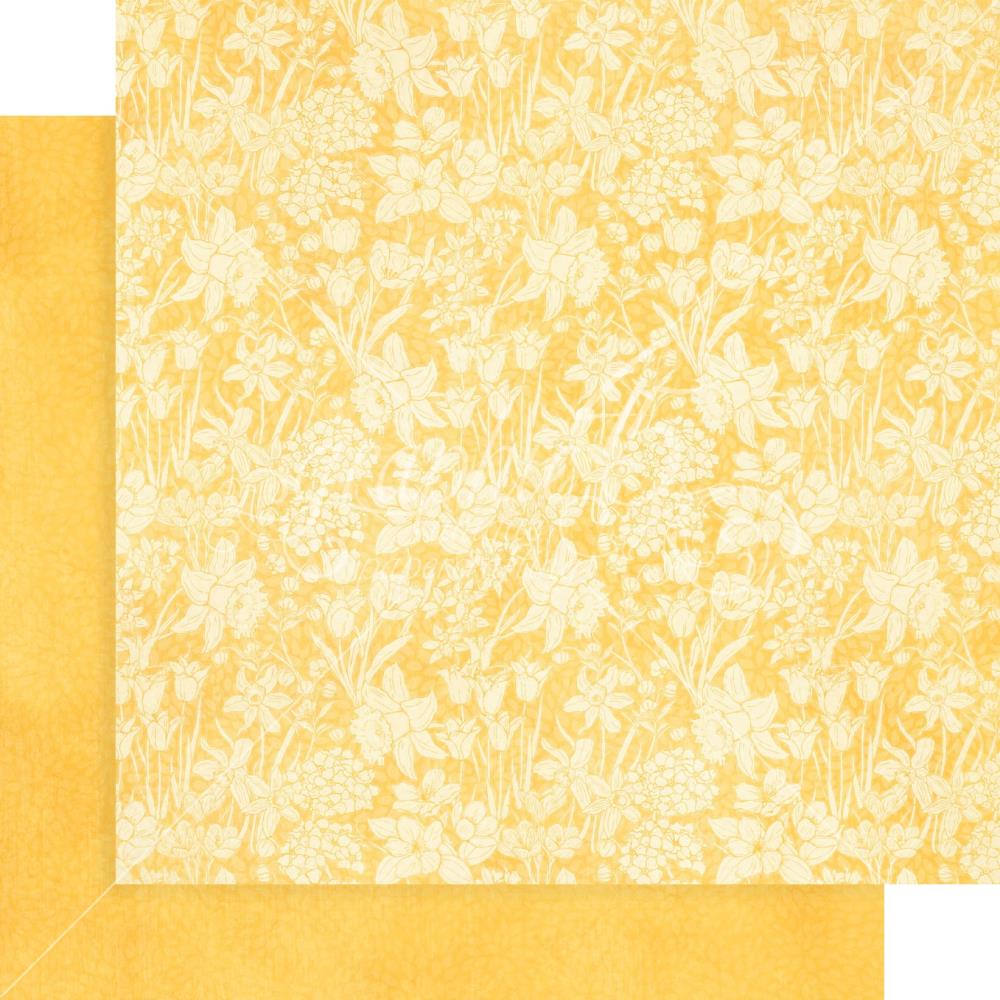 Graphic 45 - Collection Pack Patterns and Solids 12x12 - Grow With Love
