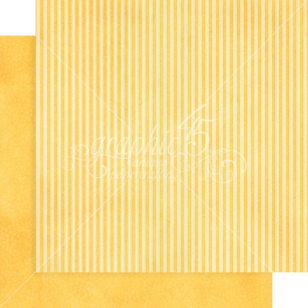 Graphic 45 - Collection Pack Patterns and Solids 12x12 - Grow With Love