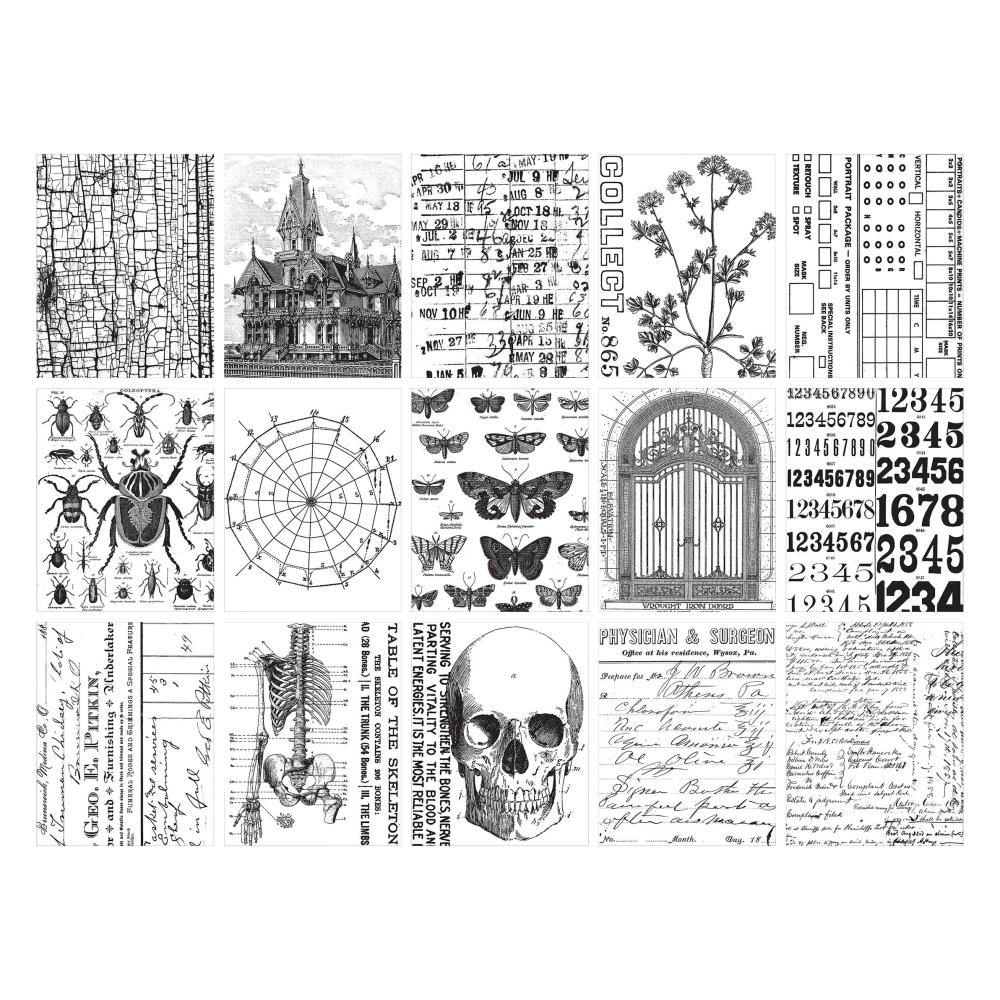 Tim Holtz Idea-ology Collage Paper - Halloween