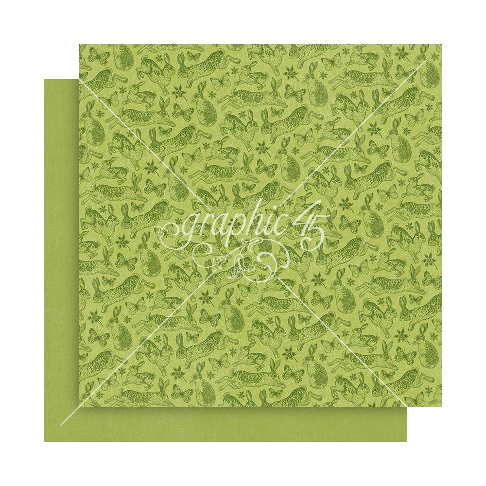 Graphic 45 Patterns & Solids 12×12 - Spring Is In The Air