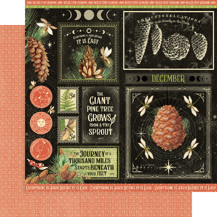 Graphic 45 Collection Pack 8x8 - Life Is Abundant
