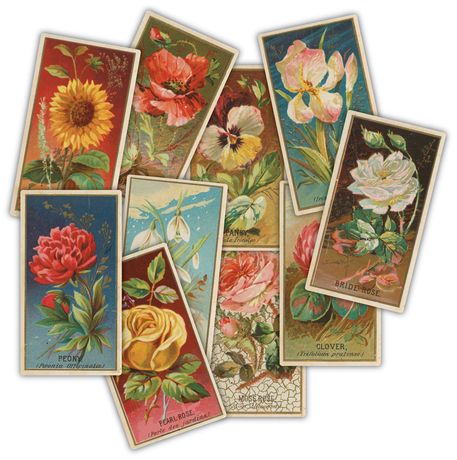 Craft Consortium Ephemera - The Collector - Flowers
