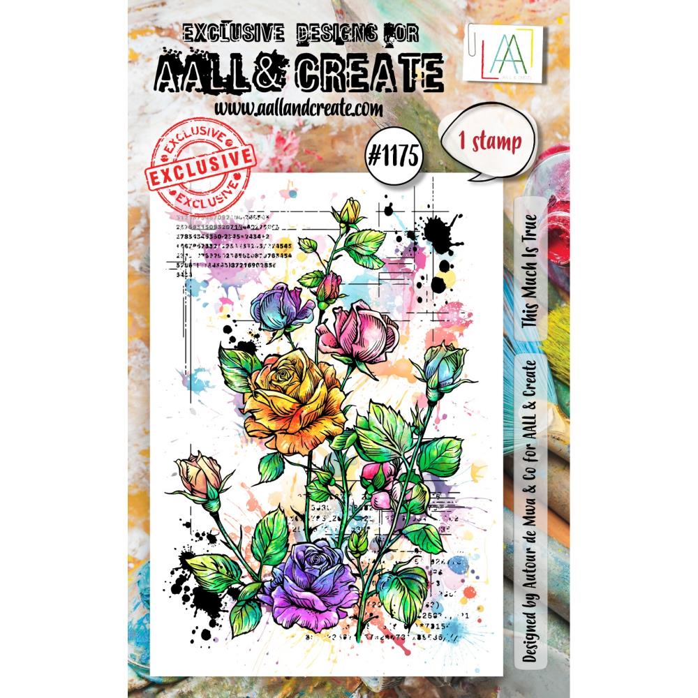AALL And Create A7 Photopolymer Clear Stamp Set - This Much Is True